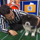 Image for article titled The Real Winner Tonight Is Chunky Monkey, Canine Icon